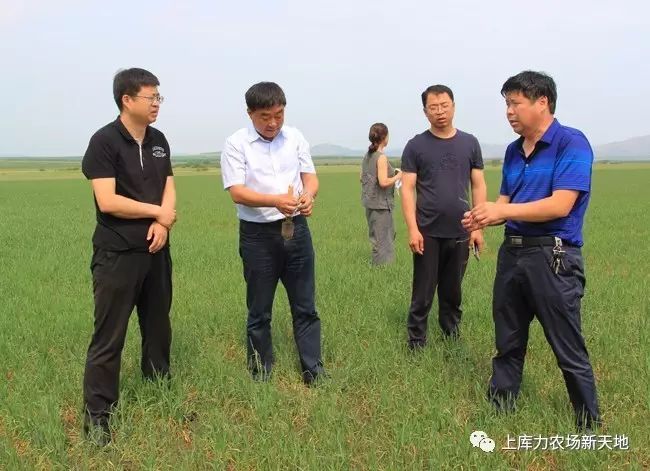 额尔古纳市政府市长阿晋勒到上库力分公司检查指导工作