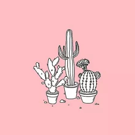 思聪前女友,雪梨怀孕了!年入10亿的网红用的竟是这些化妆品…