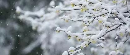 韩乐袅袅 I 那些有关雪的故事和歌