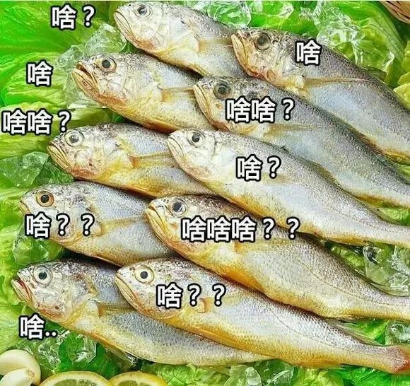 剑三捏脸图片_剑三萝莉捏脸_剑三捏脸数据成男
