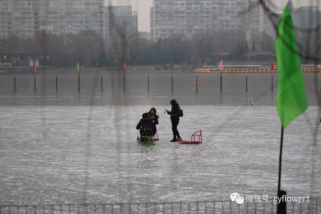 紫竹院冰场:公园大湖冰面溜冰场设有速滑场,练习场,冰球场,同时有冰上