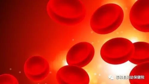 【健康科普】怀孕后及时检测血清铁蛋白预防缺铁性贫血-怀孕期