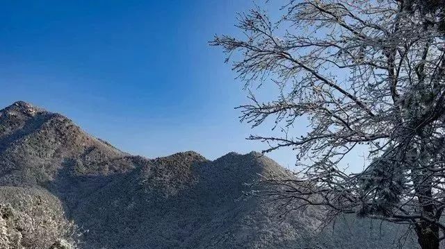 金华山可不“贫雪”|雪后的北山,美轮美奂,堪比黄山!