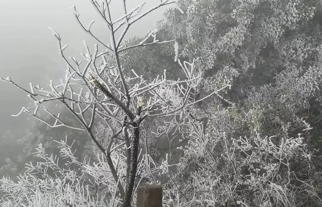 雪景 南康坪市