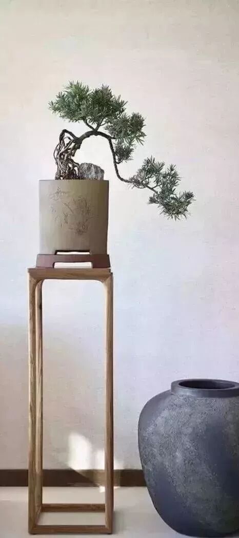 华莱早间分享：人生，没了健康，就没了一切！