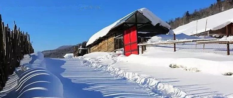 1月26-27日【 春节初2、4、6出发】雪之幻境/二浪河雪村(新雪乡)/光明顶玉琢银装/赏龙江第一峰大秃顶子/二日梦幻行