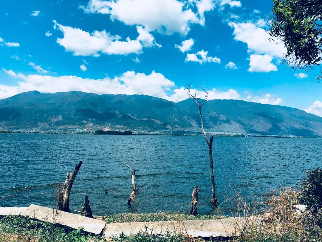 广西人离苍山洱海更近了!这几个市将开通动车直达大理