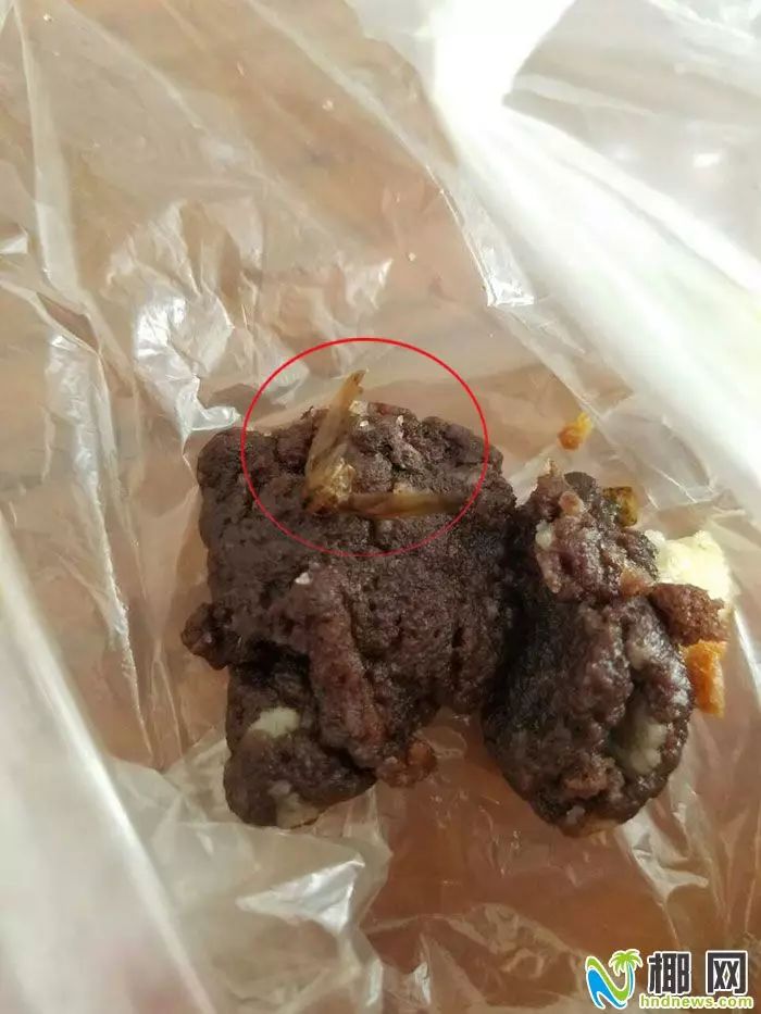 看到一块蛋糕上面有一个黑色的东西,仔细一看是一只蟑螂,而且我咬到它