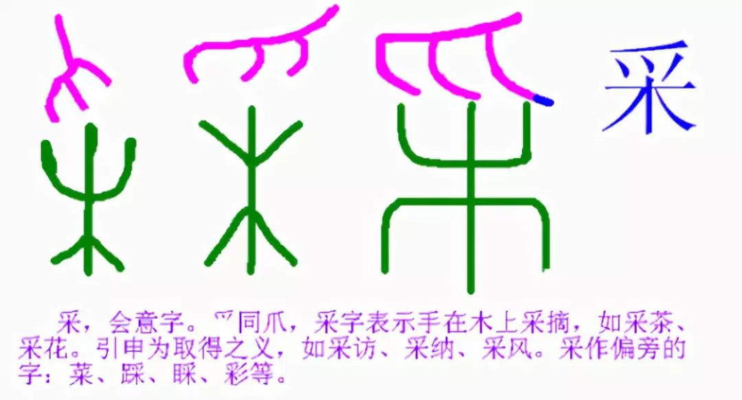 (上图为指事字)