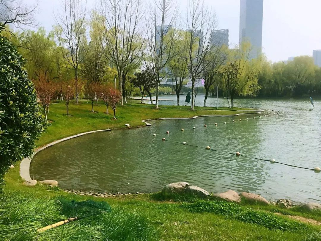 春已至,合肥天鹅湖边,红的花,绿的草,欣欣然吮吸着阳光雨水.