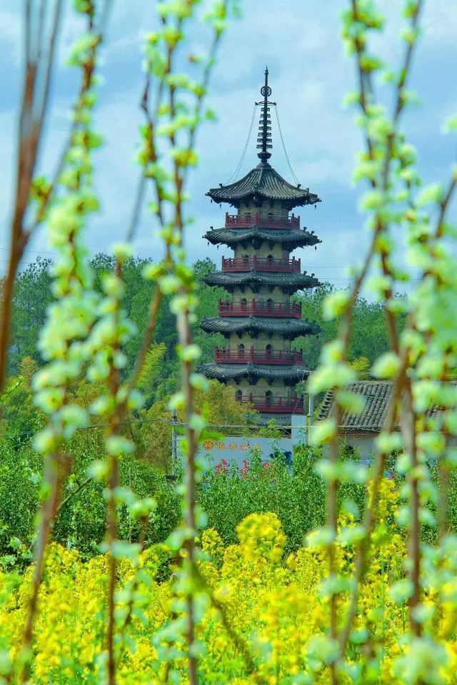 延庆寺塔 ‖ 东方比萨斜塔