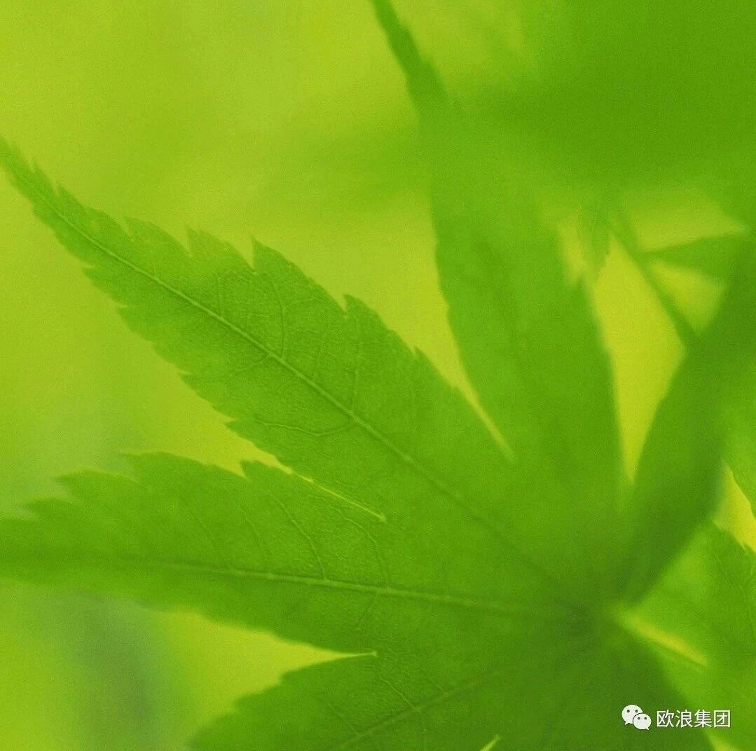 眼科专家推荐，看微信保护眼睛的简单方法，万人验证有效！