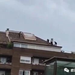 【欧浪网】歹徒飞檐走壁 警匪追逐大战在巴塞罗那上演