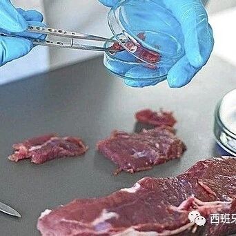 【欧浪网】西班牙卫生部证实波兰病牛肉在海岛、巴斯克和马德里
