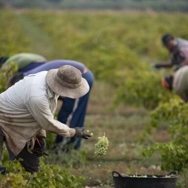 【欧浪网】西班牙多个行业群起反对提高基本工资