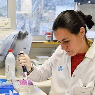 【欧浪网】西班牙研究显示感染过病毒的人在12个月后仍然具有抗体