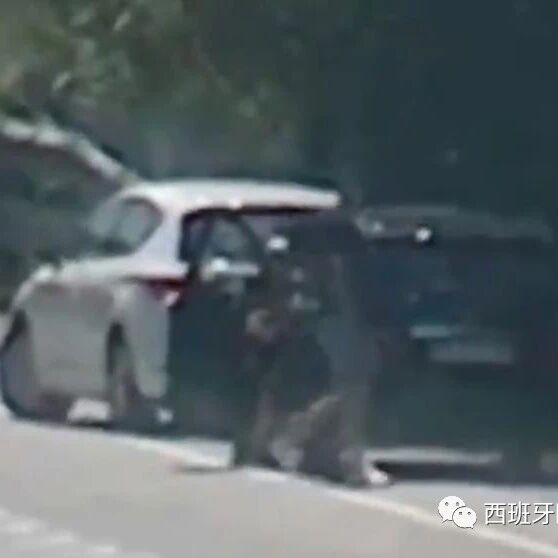 【欧浪网】好心人让你下车查看车胎？ 转眼间财物就不见！