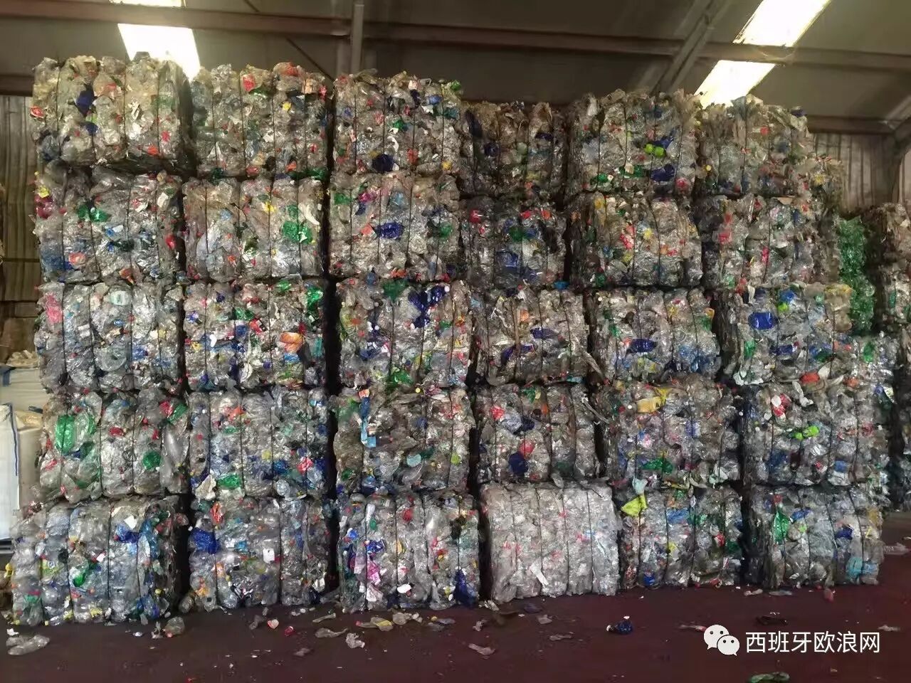 【欧浪网】中国再生塑料业大地震 旅西华商近十年家业瞬间成泡影