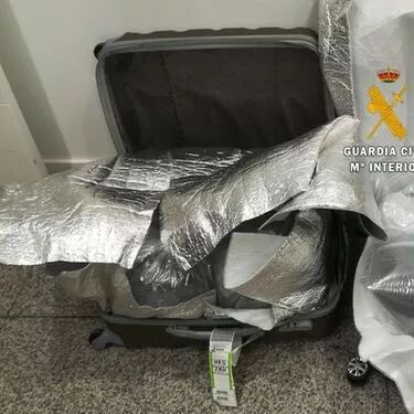 【欧浪网】两名中国人铤而走险 偷运活体鳗鱼苗在机场被捕