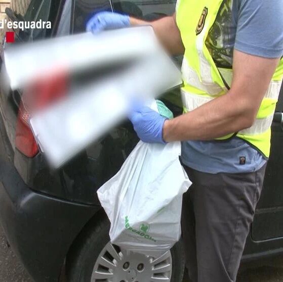 【欧浪网】盗窃团伙手法专业口味专一 68辆失窃汽车大案告破