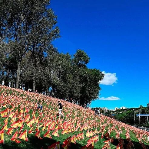 【欧浪网】西班牙周末新增3.17万例  马德里占1.34万例  全国所有大区都不利