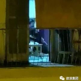 【欧浪网】华人男子对妻子家暴时被邻居拍下  被警方逮捕