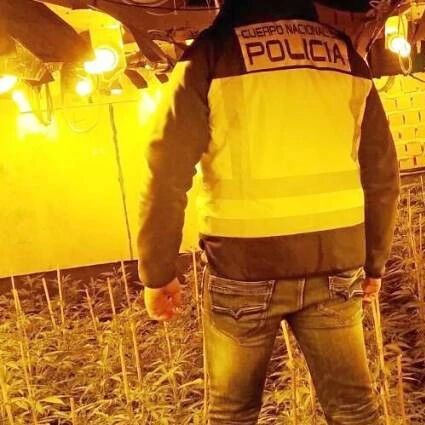 【欧浪网】“股份制与奴隶制并存” 华人犯罪团伙贩毒史