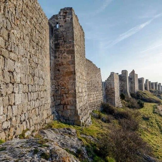 【欧浪】养4200头猪？西班牙古堡旁计划建养猪场引发抗议