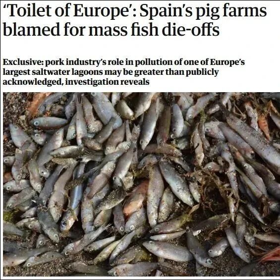 【欧浪】西班牙湖泊沦为“欧洲厕所”，又碰瓷中国