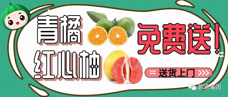 免费送！甜到不要脸的青橘，比脸还大的红心蜜柚！