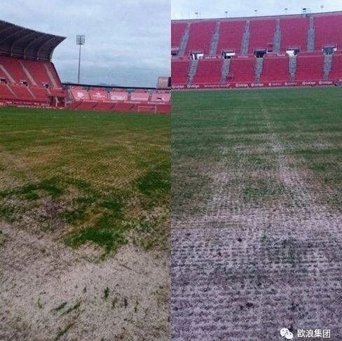 【欧浪网】西班牙熊孩子！6未成年人偷卡车漂移 球场草皮被毁了