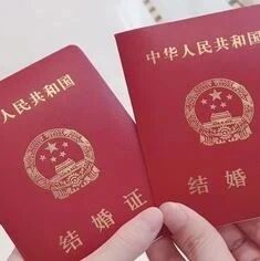 关于我馆婚姻登记预约系统放号的通知