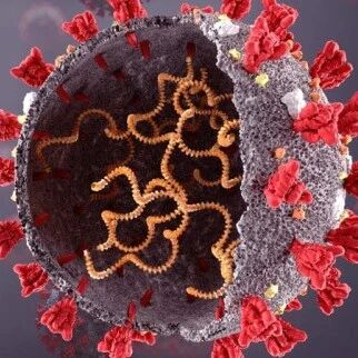 【欧浪】西班牙几乎没有其他毒株而只有印度变种  好事还是坏事？