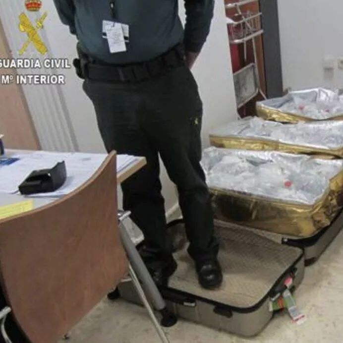 【欧浪网】鳗鱼苗的危险诱惑 又有两名华人在瓦伦西亚落网