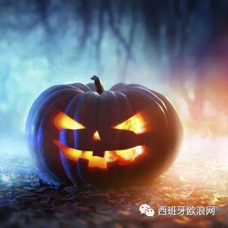 【欧浪游记】西班牙万圣节Magosto
