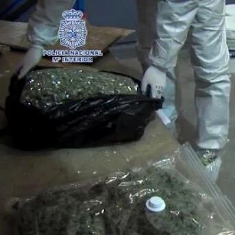 【欧浪网】华人怎么了？ 两年内200人因毒品犯罪在西落网