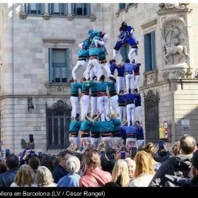 团结、合作与希望——加区新冠肺炎疫情期间的三个中国故事