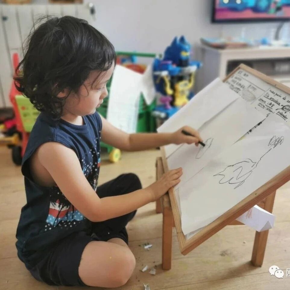 【欧浪网】教育部要求学校9月开学 华人家长几乎都持否定态度