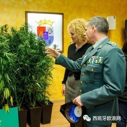 【欧浪网】与警方偶遇后被盯上 中国男子种毒品被抓