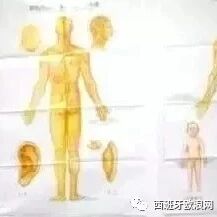 海外华人看病难？庆余堂为您解难题，放心交给我！