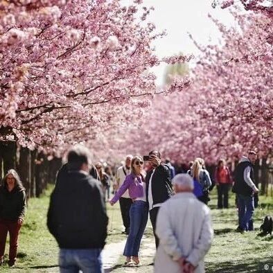 【欧浪网】在户外感染新冠病毒的可能性有多大？