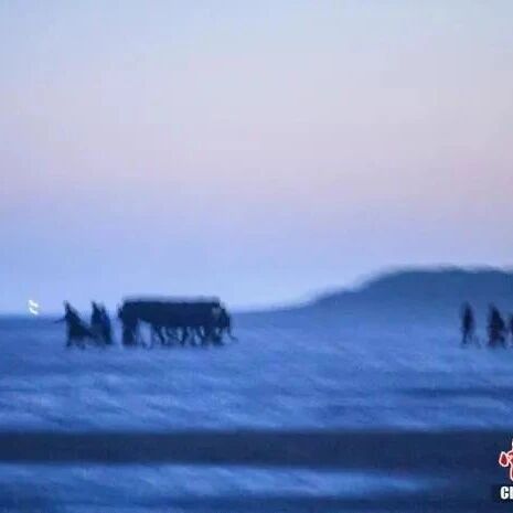 【欧浪网】126名移民在法国北部海域获救 曾试图穿越英吉利海峡