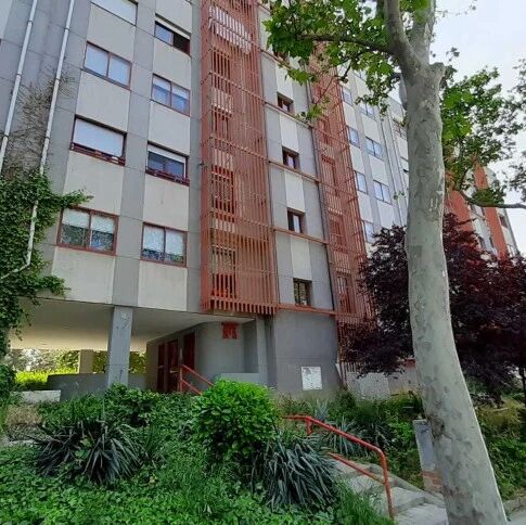 【欧浪网】马德里高龄老人在家死亡三个月   尸体被七只猫啃吃