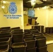 【欧浪网】神秘中国男子足不出户 居民报案警方行动