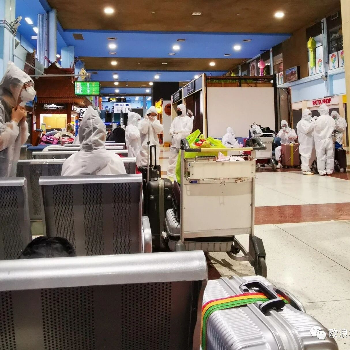 【欧浪网】天价机票变彩票？被困海外侨胞盼早日回国