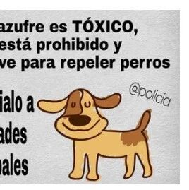 【欧浪网】华人商店关注！会罚款 国家警方提醒禁止使用硫磺粉末