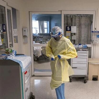 【欧浪】美国报告多起动物感染新冠事件，网友：最担心的是猪感染新冠