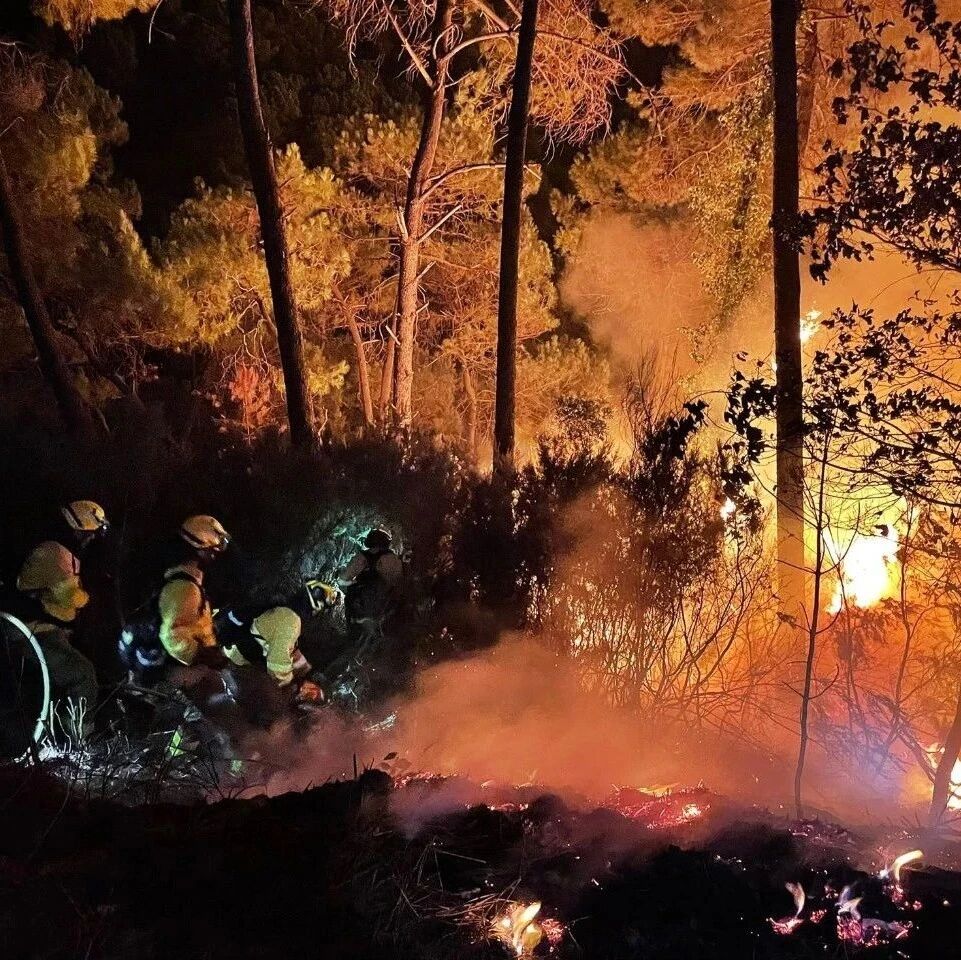 【欧浪网】西班牙马拉加省发生森林火灾 超400名居民被疏散