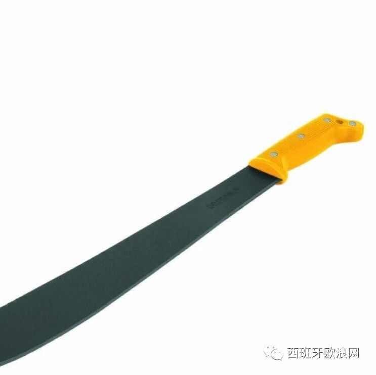 【欧浪网】持刀驱赶占房者 两华人面临指控