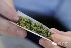 【欧浪网】警惕身边的“高薪”工作 没准一不小心就成了“毒贩”